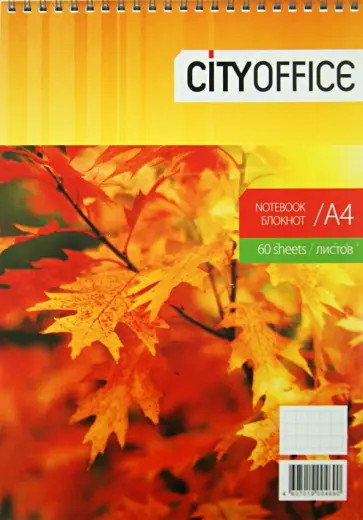Блокнот "Осень" А4, 60 листов, клетка (050461) обложка книги