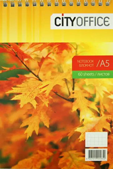 Блокнот CITYOFFICE "Осень" А5, 60 листов, клетка (020457) обложка книги