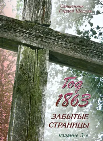 Гордей Священник - Год 1863. Забытые страницы обложка книги
