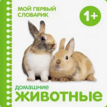 Животные Животные обложка книги