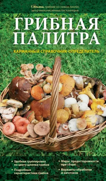 Татьяна Ильина - Грибная палитра. Карманный справочник-определитель Татьяна Ильина - Грибная палитра. Карманный справочник-определитель обложка книги
