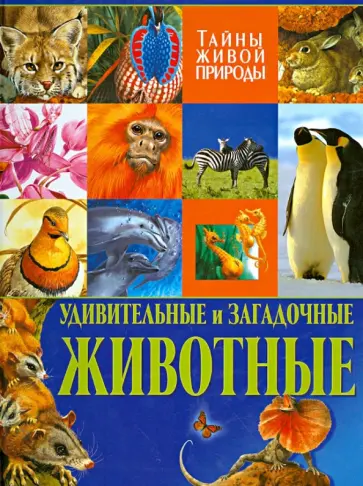 Стоунхауз, Бертрам - Удивительные и загадочные животные. Тайны живой природы Стоунхауз, Бертрам - Удивительные и загадочные животные. Тайны живой природы обложка книги