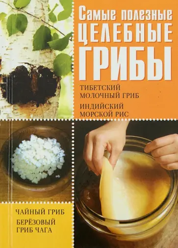 Шкитина, Серикова - Самые полезные целебные грибы. Чайный гриб, тибетский молочный гриб, березовый гриб чага Шкитина, Серикова - Самые полезные целебные грибы. Чайный гриб, тибетский молочный гриб, березовый гриб чага обложка книги