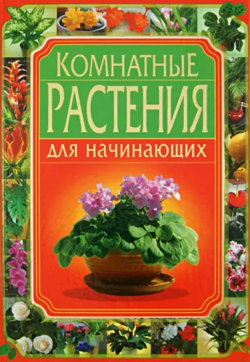 Жмакин, Гаврилова - Комнатные растения для начинающих Жмакин, Гаврилова - Комнатные растения для начинающих обложка книги