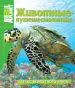 Миниатюра 1
