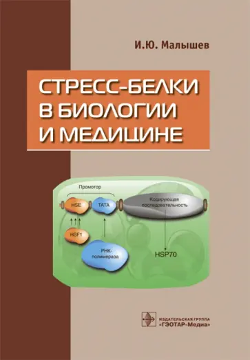 Игорь Малышев - Стресс-белки в биологии и медицине Игорь Малышев - Стресс-белки в биологии и медицине обложка книги