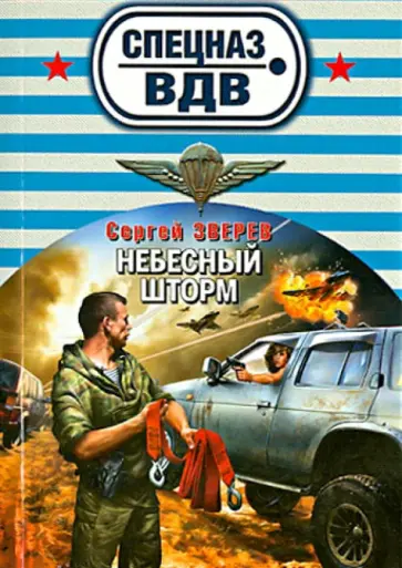 Сергей Зверев - Небесный шторм обложка книги