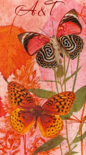 Телефонная книжка "Бабочки" (29681) обложка книги