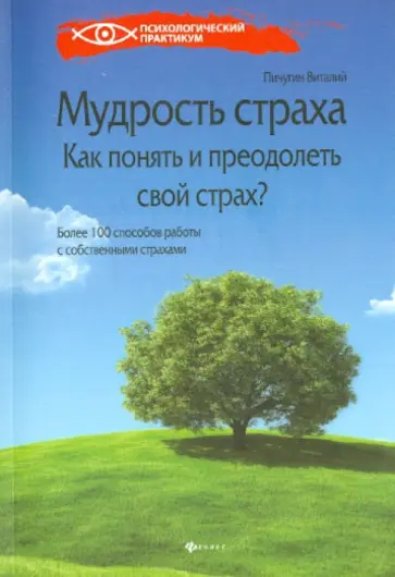 Виталий Пичугин - Мудрость страха. Как понять и преодолеть свой страх? обложка книги