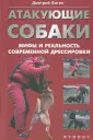 Фатин Дмитрий Александрович