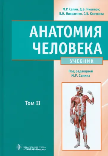 Сапин, Николенко - Анатомия человека. Учебник. В 2-х томах. Том 2 обложка книги