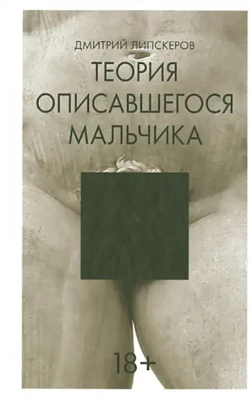 Дмитрий Липскеров - Теория описавшегося мальчика Дмитрий Липскеров - Теория описавшегося мальчика обложка книги