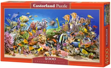 Puzzle-4000 "Подводный мир" (С-400089) Puzzle-4000 "Подводный мир" (С-400089) обложка книги