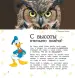 Миниатюра 5