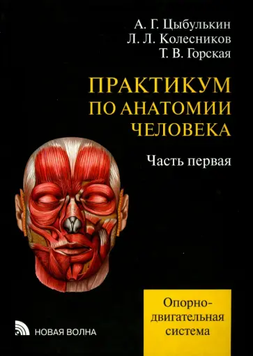 Цыбулькин, Горская - Практикум по анатомии человека. В 4-х частях. Часть 1. Опорно-двигательная система Цыбулькин, Горская - Практикум по анатомии человека. В 4-х частях. Часть 1. Опорно-двигательная система обложка книги