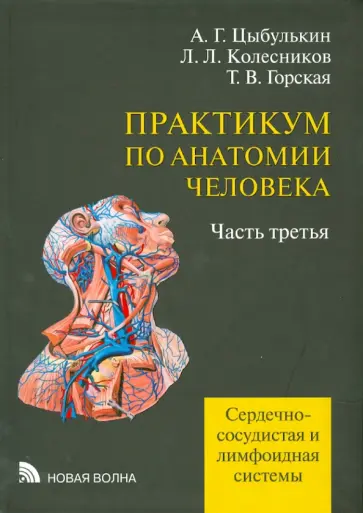 Цыбулькин, Горская - Практикум по анатомии человека. В 4-х частях. Часть 3. Сердечно-сосудистая и лимфоидная системы Цыбулькин, Горская - Практикум по анатомии человека. В 4-х частях. Часть 3. Сердечно-сосудистая и лимфоидная системы обложка книги