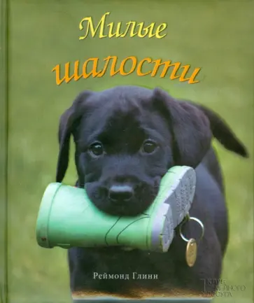 Реймонд Глинн - Милые шалости Реймонд Глинн - Милые шалости обложка книги