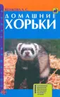 Волкова Анна Святославовона