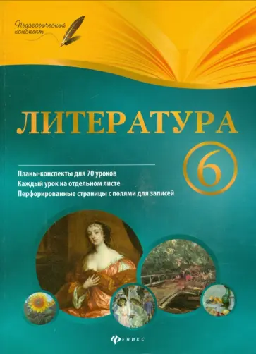 Ирина Челышева - Литература. 6 класс. Планы-конспекты уроков обложка книги