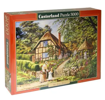 Puzzle-3000 "Прекрасные цветы" (C-300358) обложка книги