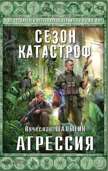 Вячеслав Шалыгин - Агрессия обложка книги