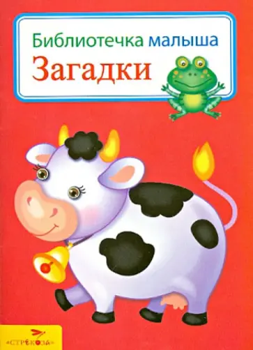 Загадки обложка книги