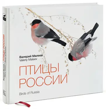 Валерий Малеев - Птицы России обложка книги