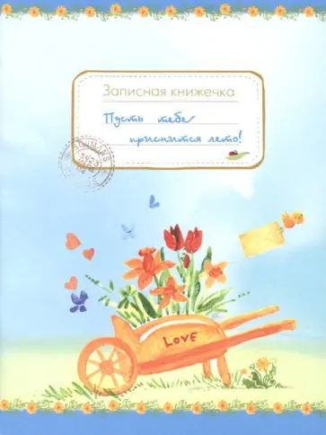 Пусть тебе приснится лето! Записная книжечка обложка книги