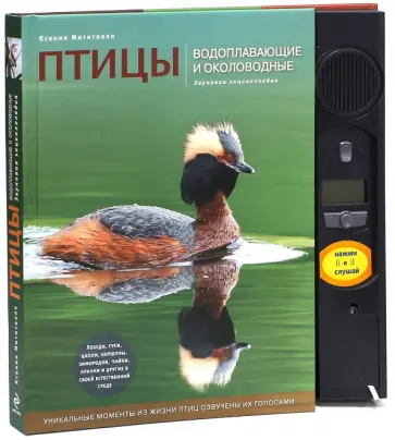 Ксения Митителло - Птицы. Водоплавающие и околоводные. Звуковая энциклопедия (утка) Ксения Митителло - Птицы. Водоплавающие и околоводные. Звуковая энциклопедия (утка) обложка книги
