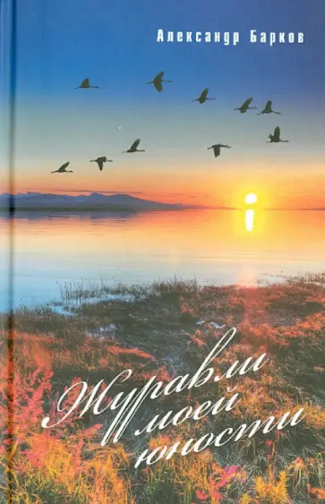 Александр Барков - Журавли моей юности. Избранное. Рассказы, повести, стихи в прозе Александр Барков - Журавли моей юности. Избранное. Рассказы, повести, стихи в прозе обложка книги