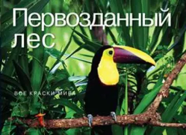 Marisa Iollonardo - Первозданный лес. Все краски мира обложка книги