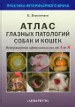 Перепечаев Константин Андреевич