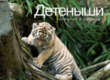 Марджори Гален - Детеныши. Наивные и смешные обложка книги