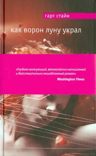 Гарт Стайн - Как Ворон луну украл обложка книги