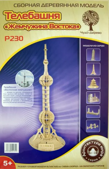 Телебашня "Жемчужина Востока" (P230) обложка книги