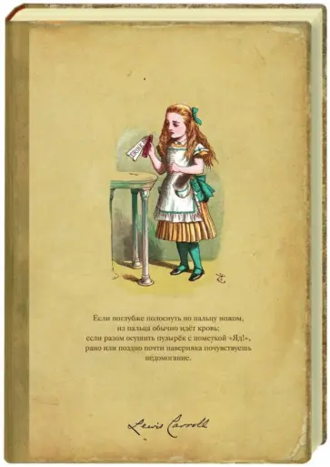 Блокнот для записей "Выпей меня", А5 обложка книги