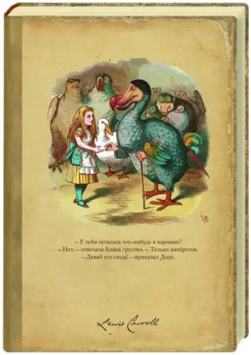 Блокнот для записей "Додо" обложка книги