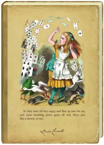 Блокнот для записей "Карточный дождь" обложка книги