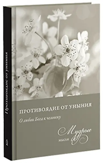Николай Священник - Противоядие от уныния. Из собрания священника Николая Лызлова обложка книги
