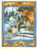 Миниатюра 5