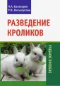 Нигматуллин Рустэм Мухаметович