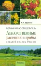 Ефремов Александр Павлович