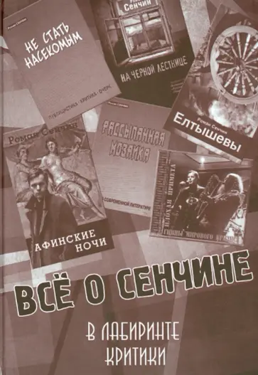 Всё о Сенчине. В лабиринте критики обложка книги