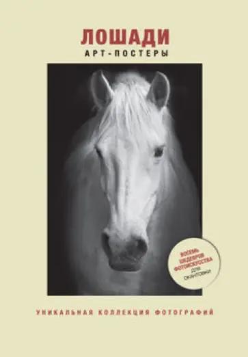 Лошади. Уникальная коллекция фотографий обложка книги