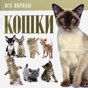 Кошки Кошки обложка книги