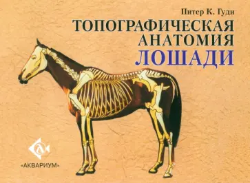 Питер Гуди - Топографическая анатомия лошади Питер Гуди - Топографическая анатомия лошади обложка книги
