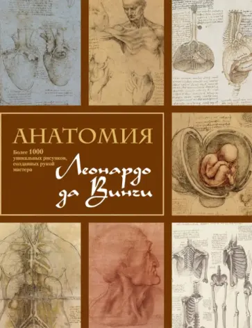 Мартин Клейтон - Анатомия Леонардо Мартин Клейтон - Анатомия Леонардо обложка книги