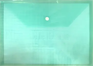 Папка на кнопке, А4, пластиковая, зеленая (CY209-12-G) обложка книги