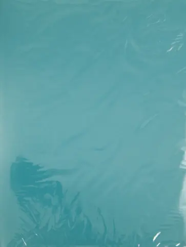 Папка с зажимом. А4. Зеленая (CY100A-G) обложка книги