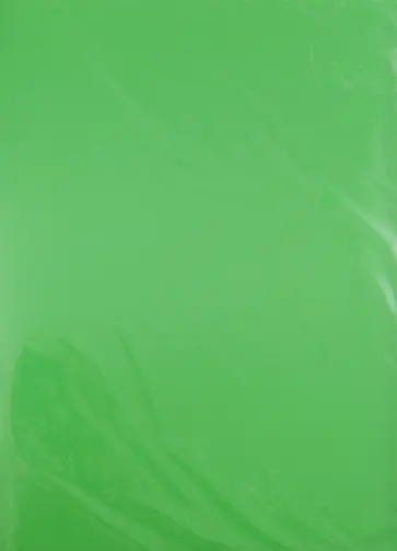 Папка 10 файлов. А4. Пластиковая. Зеленая (CY1421-G) обложка книги